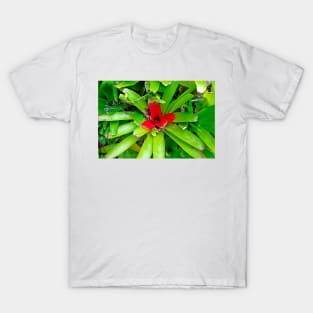 Kula Botanical Gardens Study 6 T-Shirt